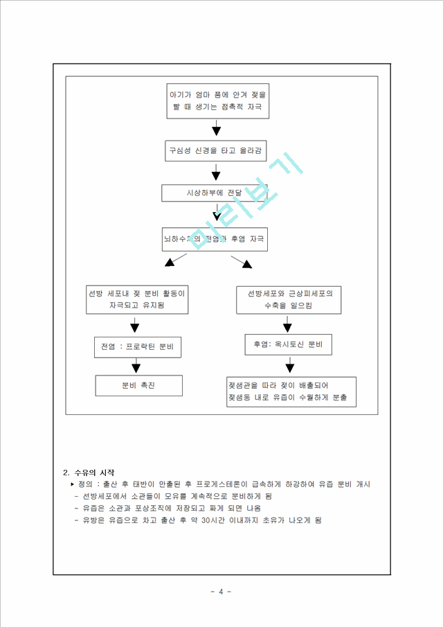 [간호실습] 모유수유의 특징과 유의점 및 필요성 (실습을 통해 알아봄).hwp